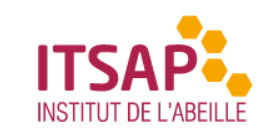 Lien vers le site de l'ITSAP